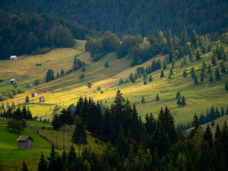 Descoperă tradițiile și obiceiurile locale din România