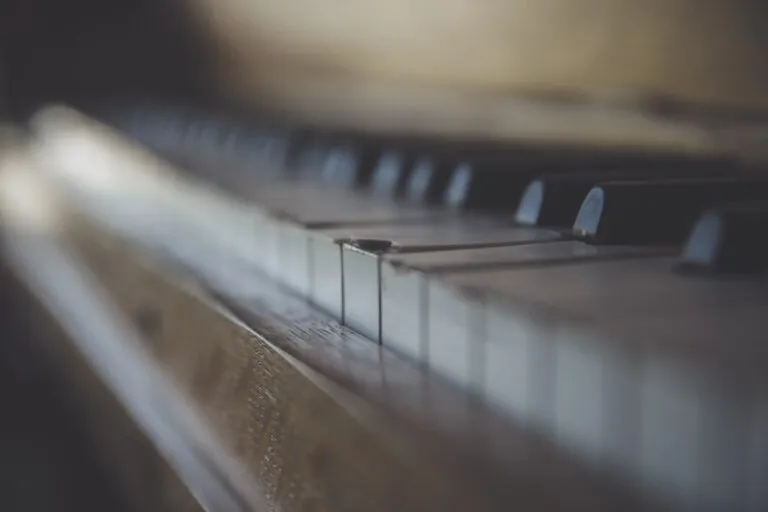 Photo Muzică: Combinații de genuri muzicale pentru playlist-uri adaptate diferitelor stări de spirit și activități