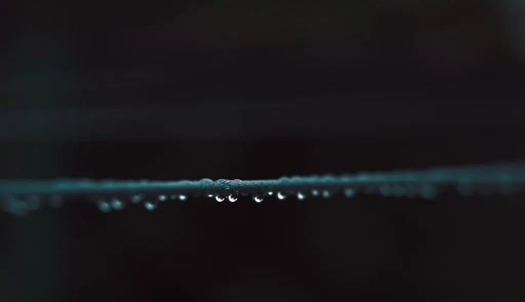 Ce criptomonede sunt cele mai stabile Photo criptomonede