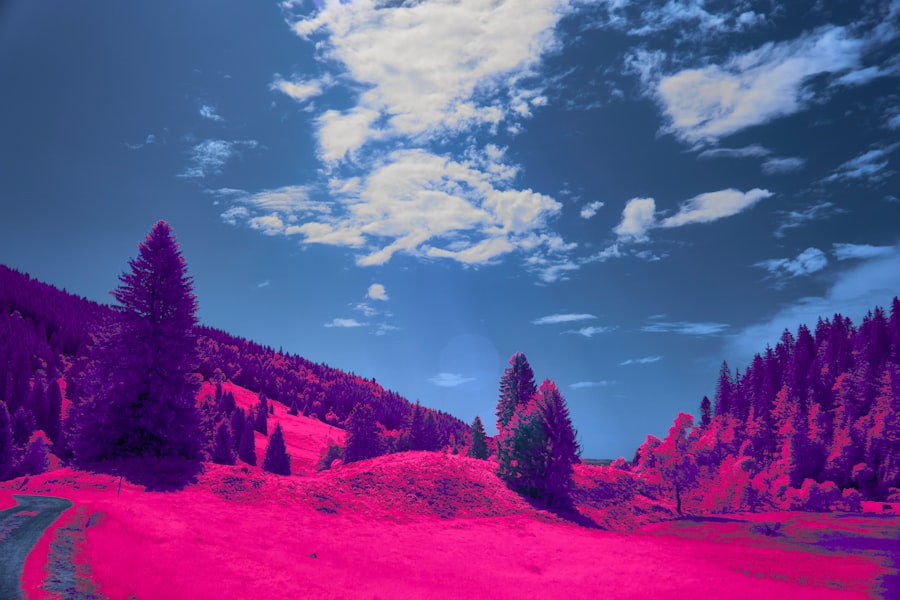 dream interpretation