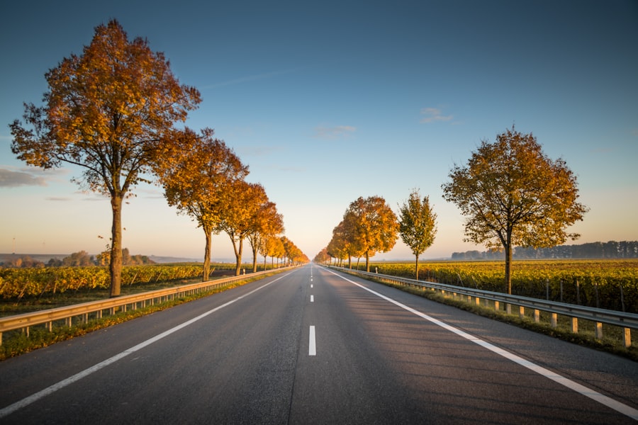 roads