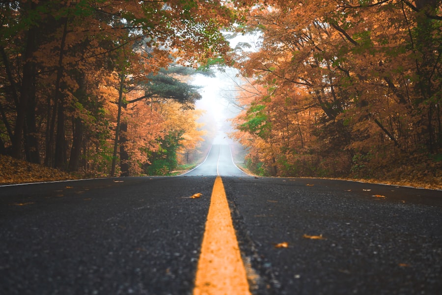 Photo roads