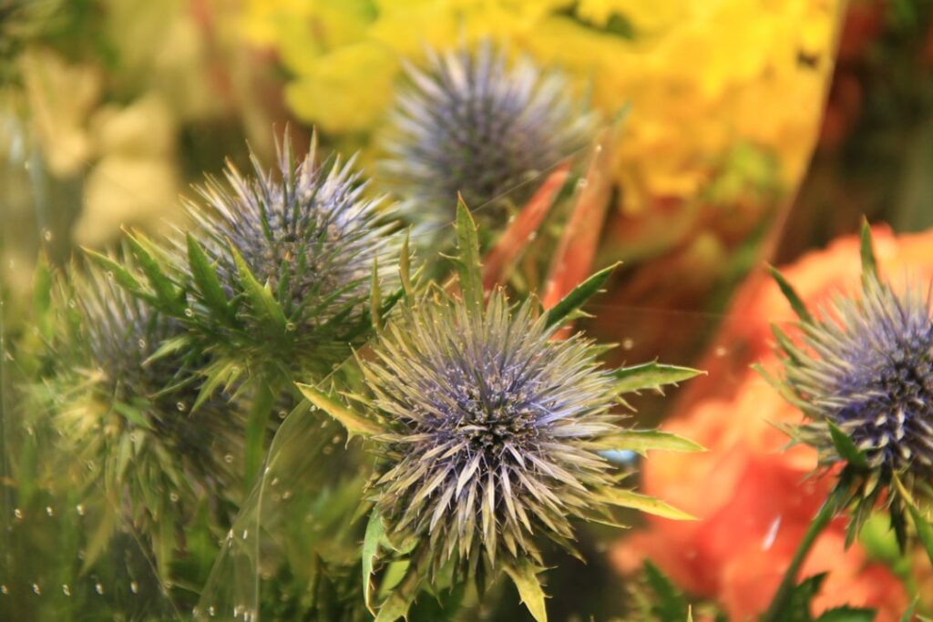 Photo wildflower arrangements