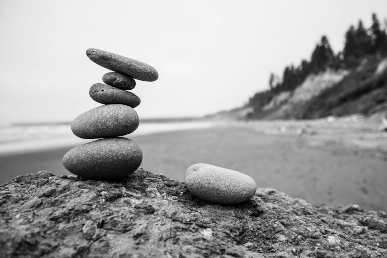 Ce înseamnă punctul de echilibru într-o afacere Photo balance point