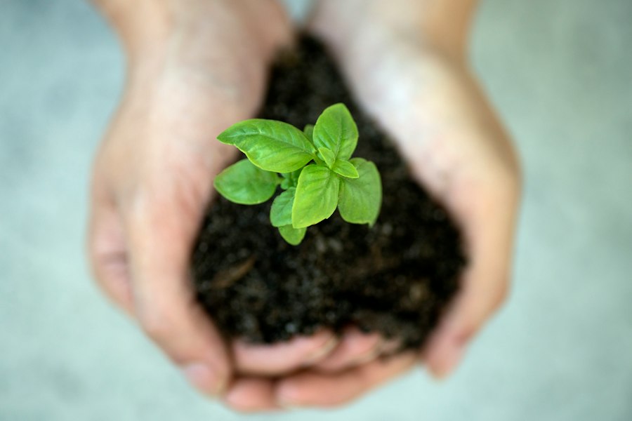 Photo sustainable growth strategy