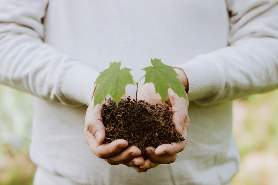 sustainable growth strategy
